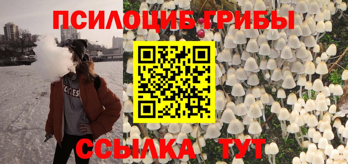 Галлюциногенные грибы мицелий Тверь