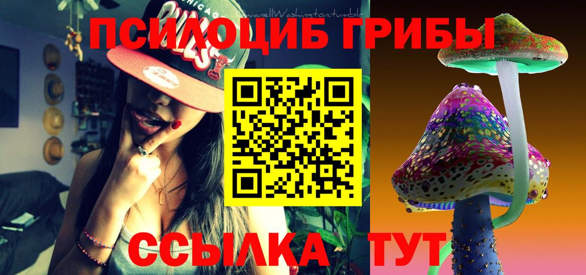 Псилоцибиновые грибы Psilocybine cubensis  Галлюциногенные грибы Cubensis  Вход с VPN  Тверь 